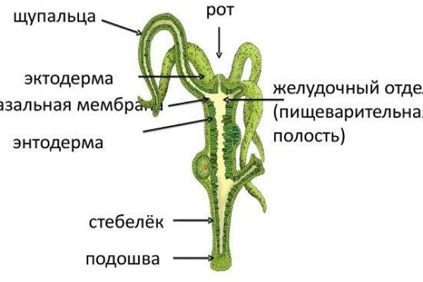 Кракен krakken15at com