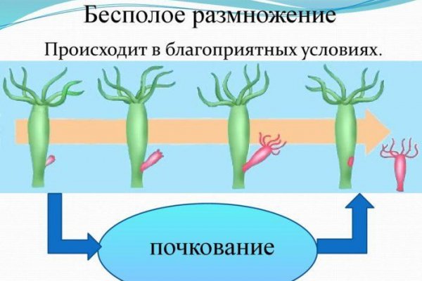 Кракен основная ссылка onion